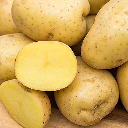 Red or Yellow Potatoes - Quart Bag