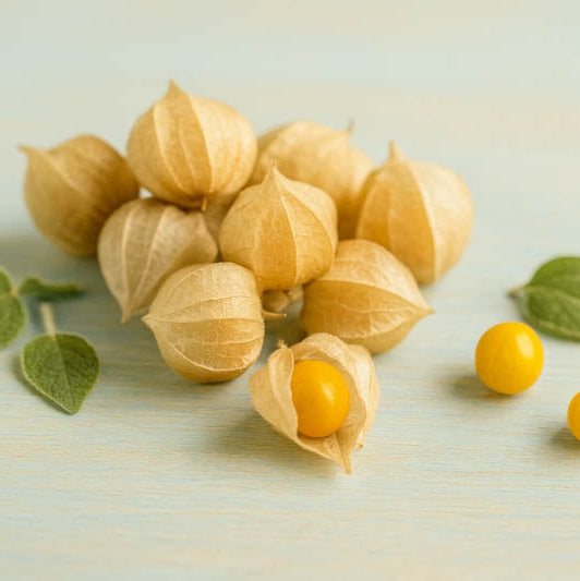 Ground Cherry Pint - Limit 1
