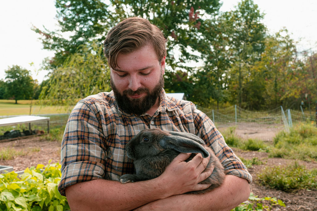Pet Forage Box - Harvested Fresh, Delivered to your door!