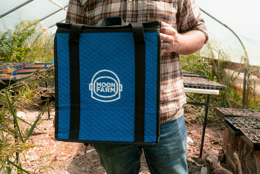 Pet Forage Box - Harvested Fresh, Delivered to your door!