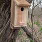 Handmade Cedar Nestbox (Birdhouse)
