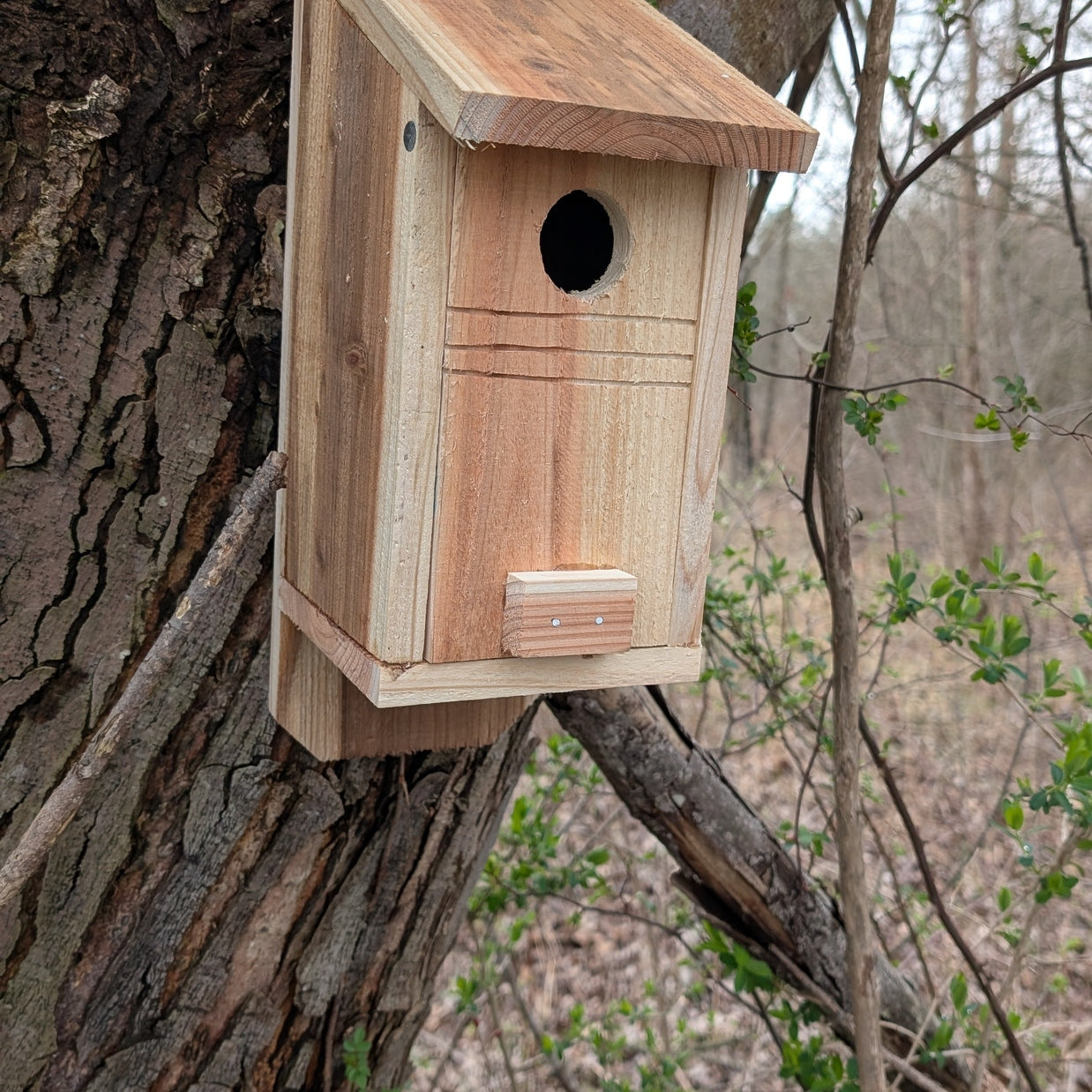 Handmade Cedar Nestbox (Birdhouse)