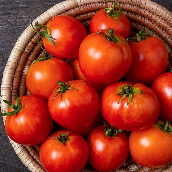 Tomato - Mountain Princess (Determinate)