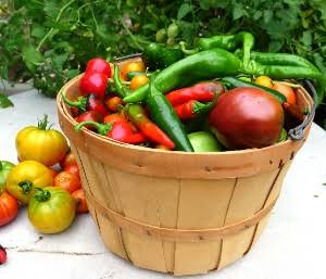 Bulk Buys