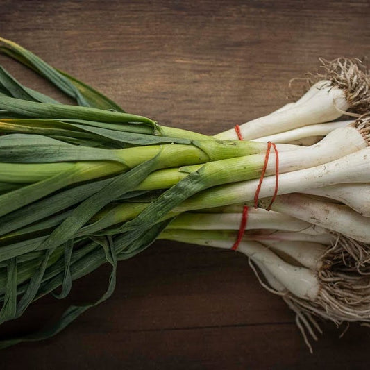Green Garlic Bunch