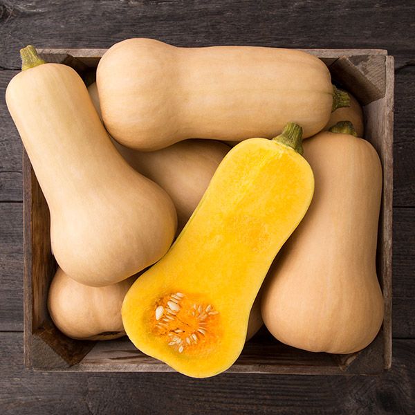 Butternut