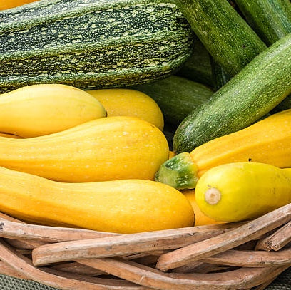 Yellow Squash - 1 medium/2 small