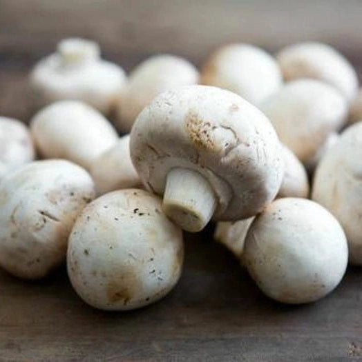 Button Mushrooms -Pint