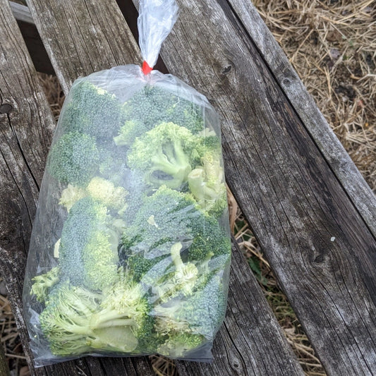 Broccoli Florets 12 oz