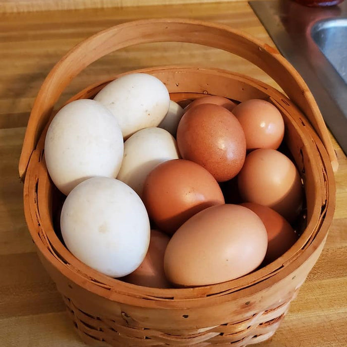 Eggs!