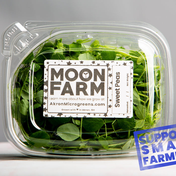 Rainbow Mix Microgreens - Broc, Cab, Chard, Radish