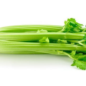 Celery - Limit 1
